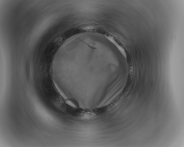 X0000113050572200909171543