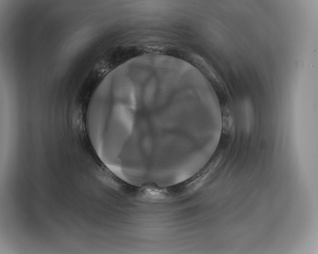 X0000113050573200909171543