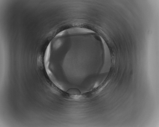 X0000113050575200909171543