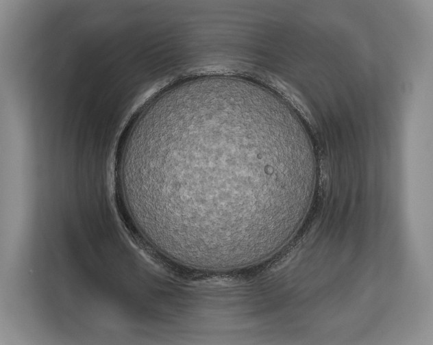 X0000113050578200909171543