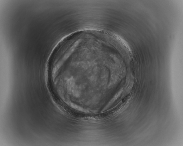 X0000113050580200909171543