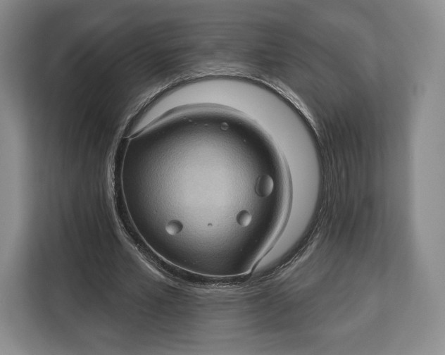 X0000113050581200909171543