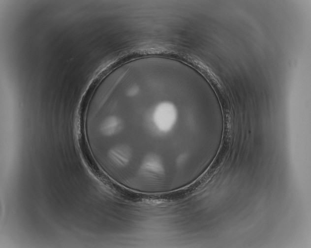 X0000113050582200909171543