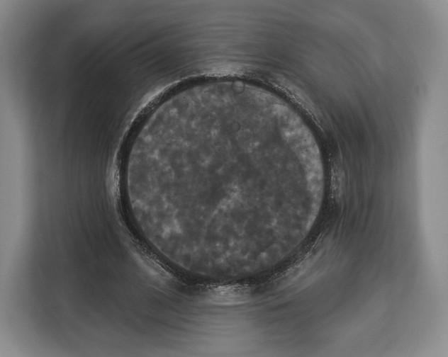 X0000113050584200909171543