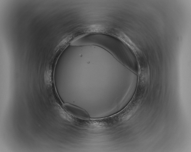 X0000113050585200909171543