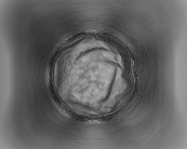 X0000113050586200909171543