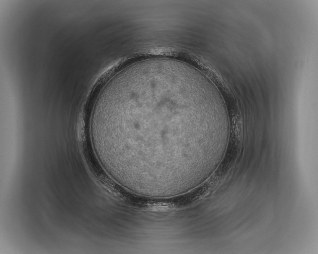 X0000113050587200909171543