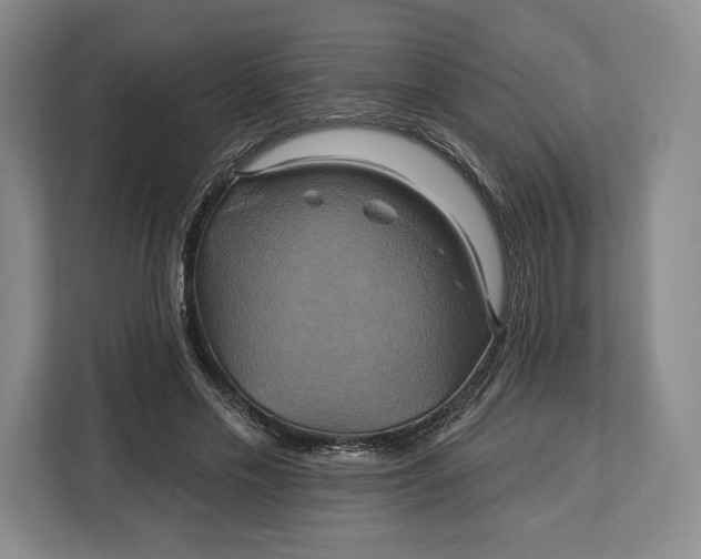 X0000113050589200909171543