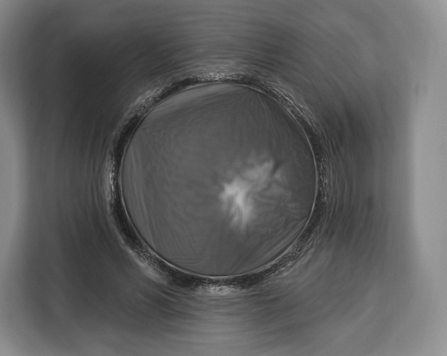 X0000113050590200909171543