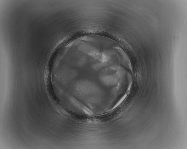 X0000113050591200909171543