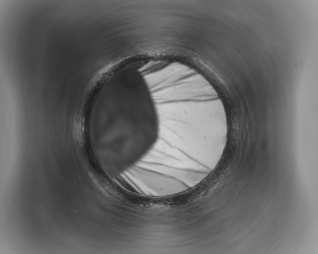 X0000113050592200909171543