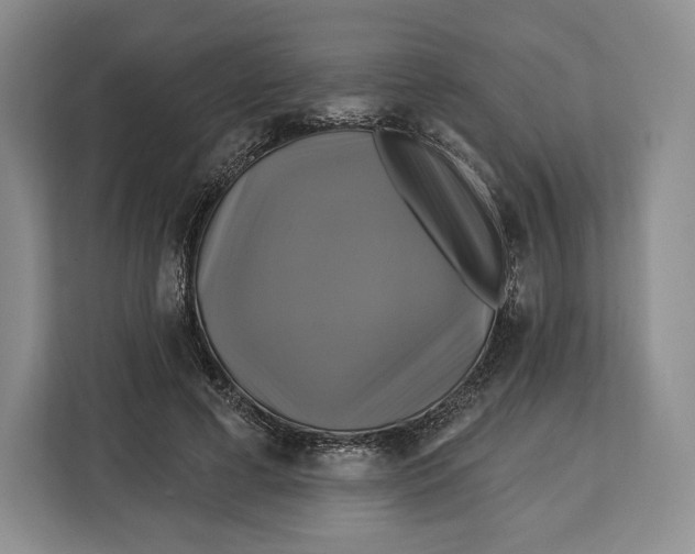 X0000113050593200909171543