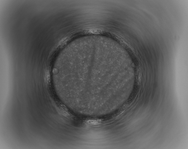 X0000113050595200909171542