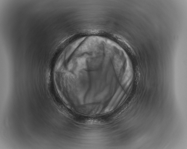 X0000113050596200909171542