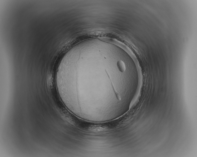 X0000113050597200909171542