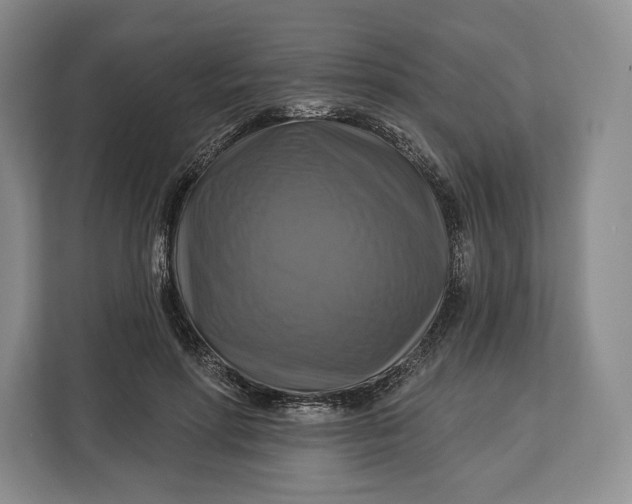 X0000113050598200909171542