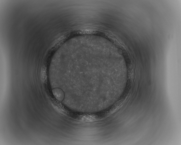 X0000113050599200909171542