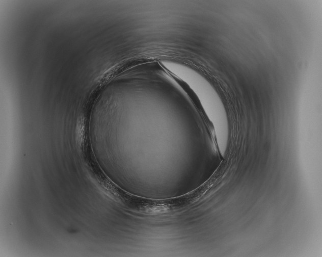 X0000113050600200909171542