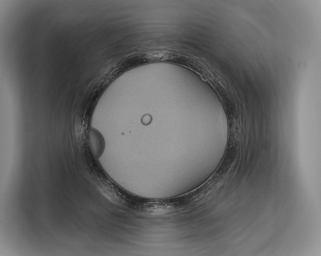 X0000113050601200909171542