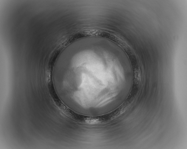 X0000113050602200909171542