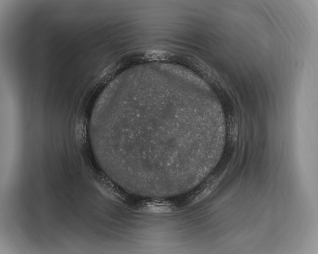 X0000113050603200909171542