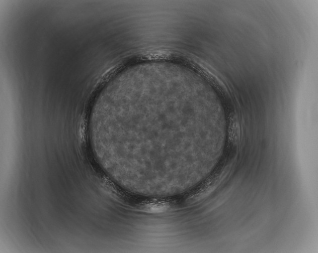 X0000113050604200909171542