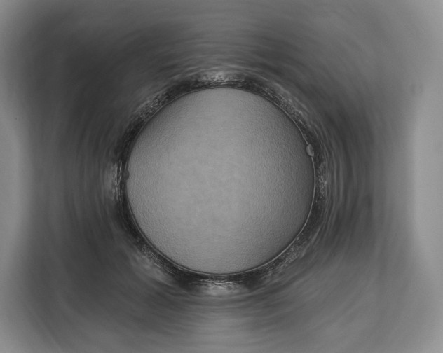 X0000113050605200909171542