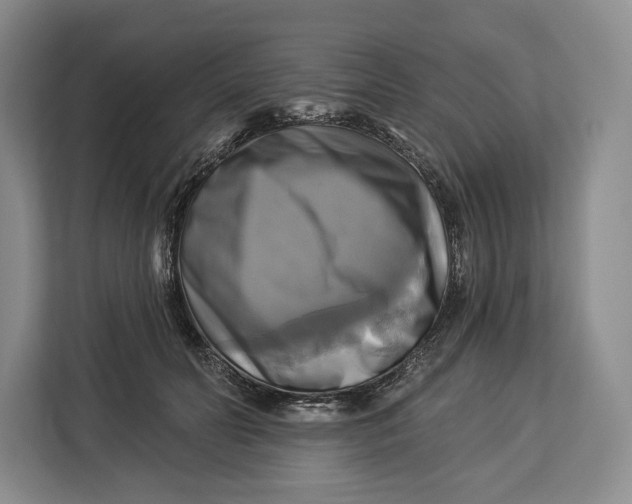 X0000113050606200909171542