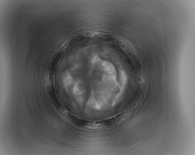 X0000113050607200909171542