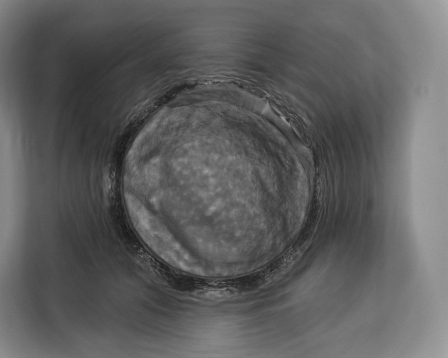 X0000113050608200909171542