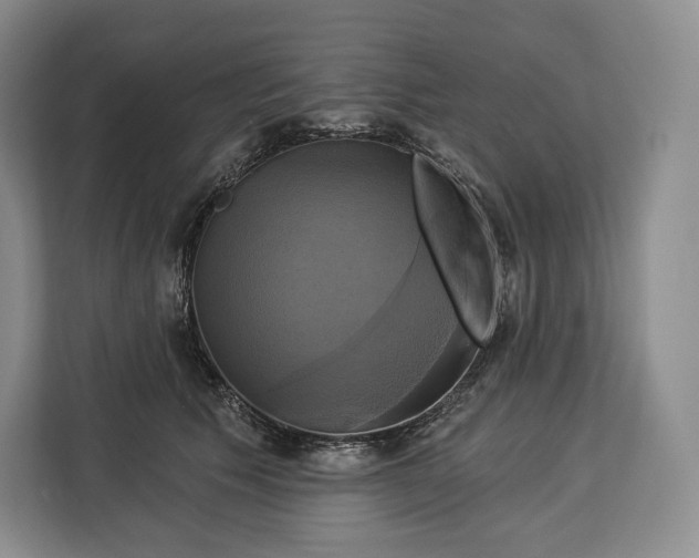 X0000113050609200909171542