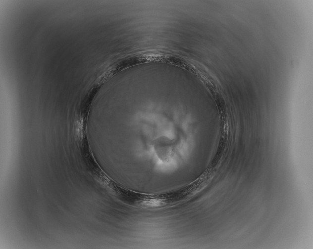 X0000113050610200909171542