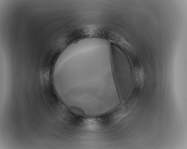 X0000113050611200909171542