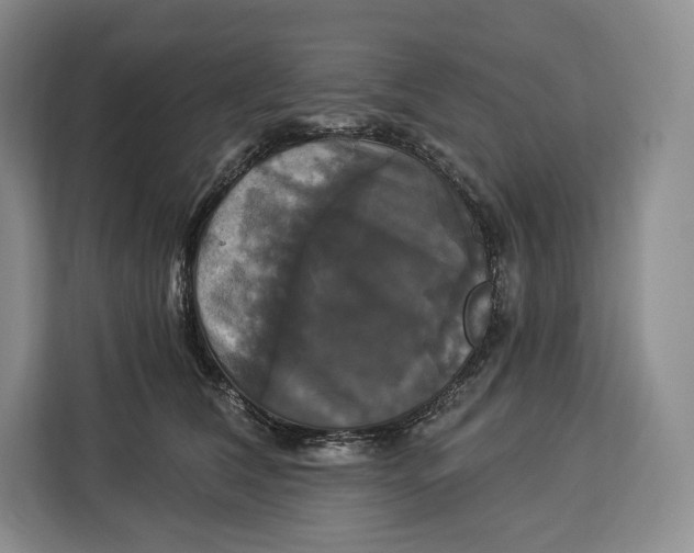 X0000113050612200909171542