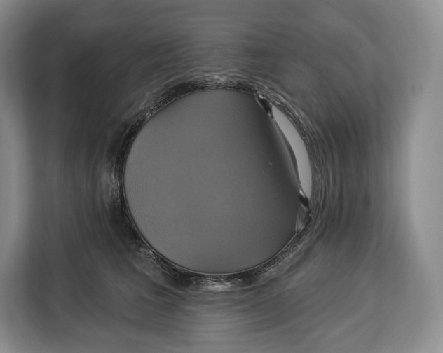 X0000113050613200909171542