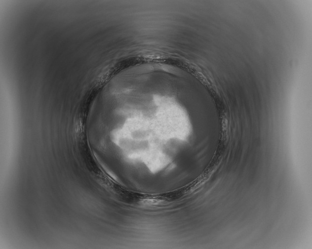 X0000113050614200909171542