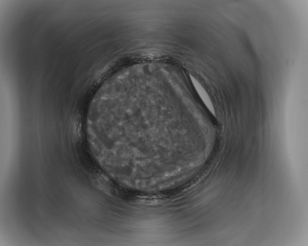 X0000113050615200909171542