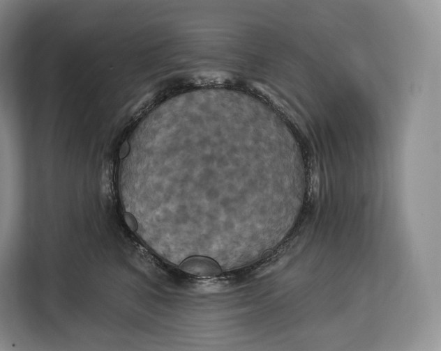 X0000113050616200909171542