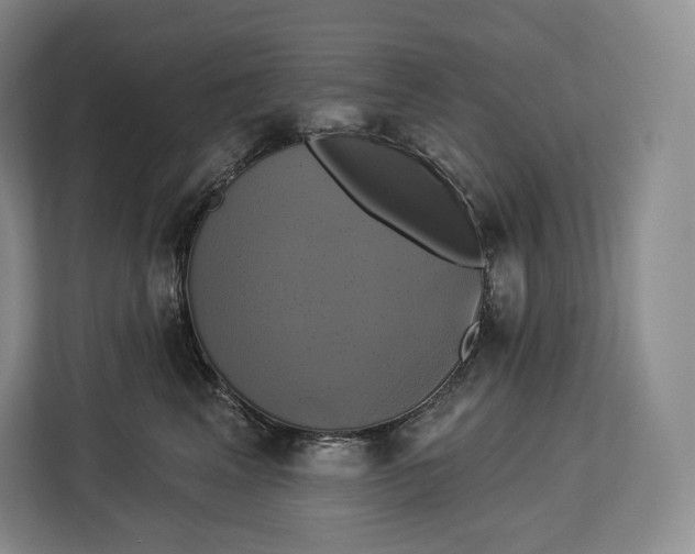 X0000113050617200909171542