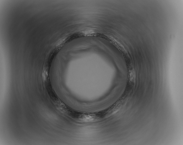 X0000113050618200909171542