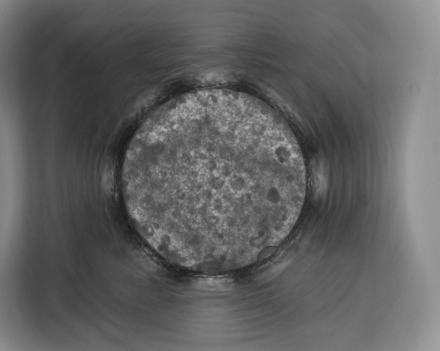 X0000113050619200909171542