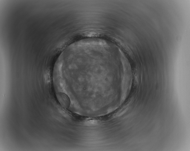 X0000113050620200909171542