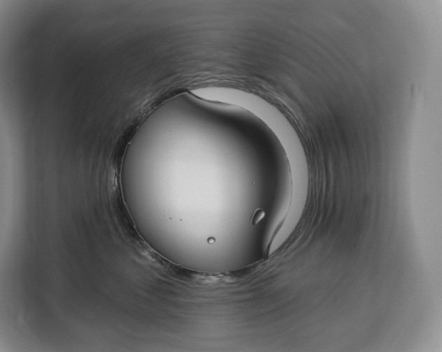 X0000113050621200909171542