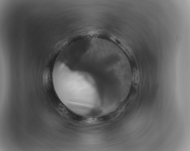 X0000113050623200909171542