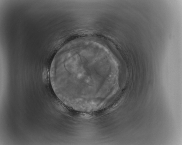 X0000113050624200909171542