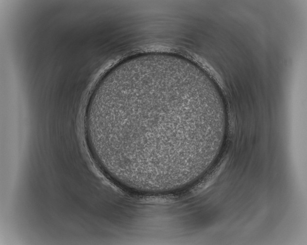 X0000113050625200909171541