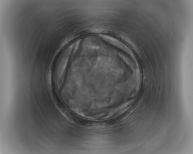 X0000113050626200909171542