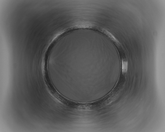 X0000113050627200909171542