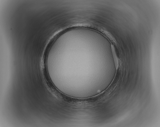 X0000113050628200909171542