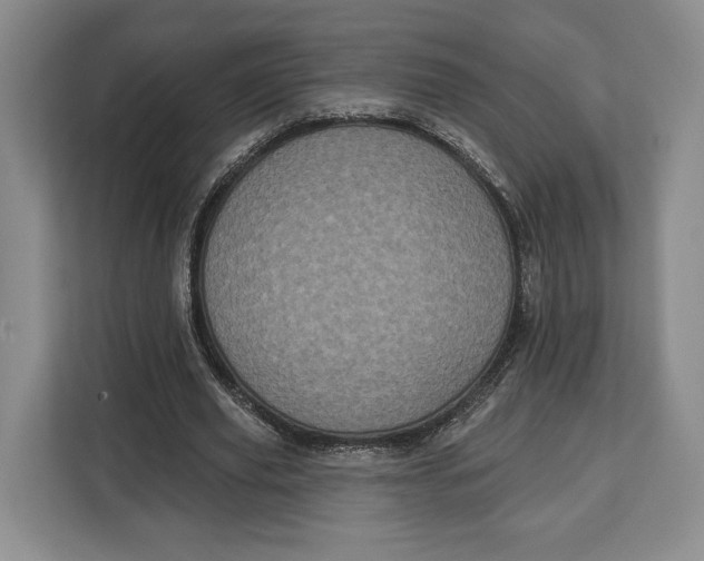 X0000113050629200909171542